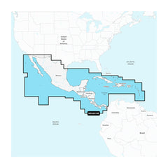 Cartography - Garmin Navionics+ Foreign